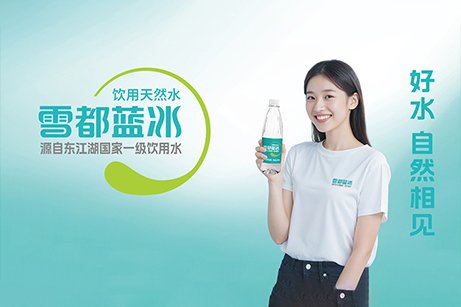 雪都藍(lán)冰品牌策劃,雪都藍(lán)冰logo設(shè)計(jì)