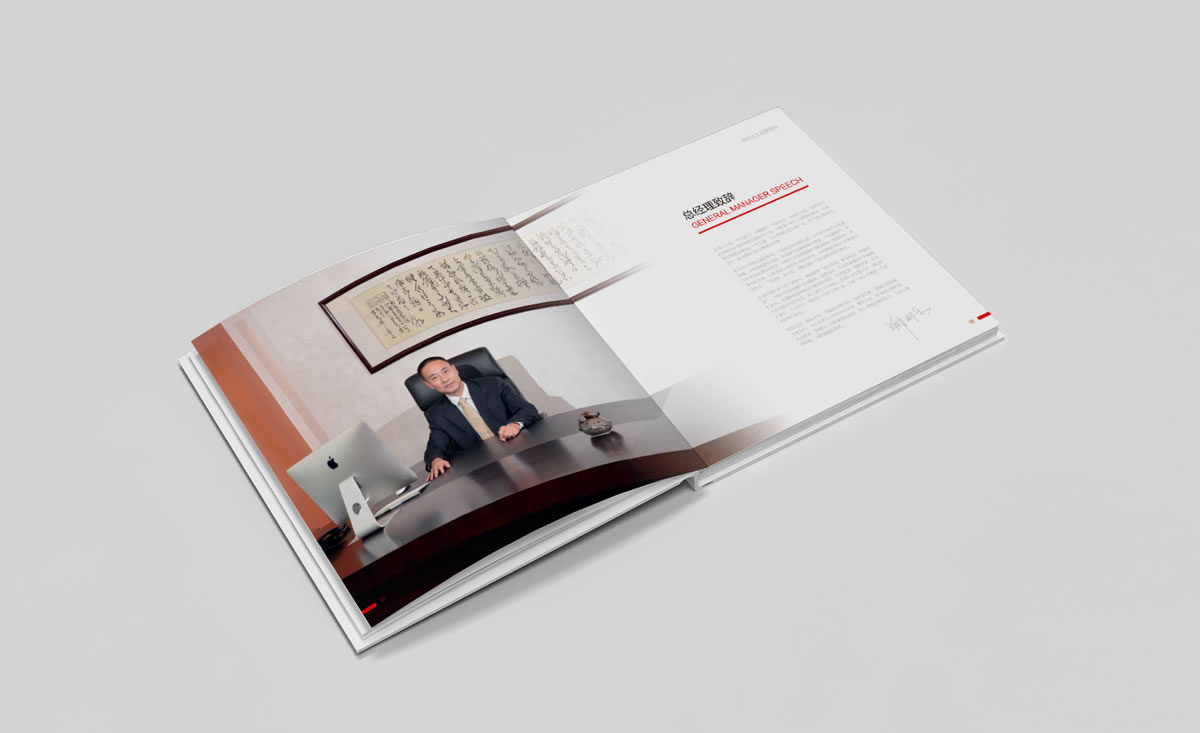 金地建設(shè)品牌戰(zhàn)略規(guī)劃、標(biāo)志設(shè)計(jì)、VI設(shè)計(jì)、畫冊(cè)設(shè)計(jì)_全力設(shè)計(jì)