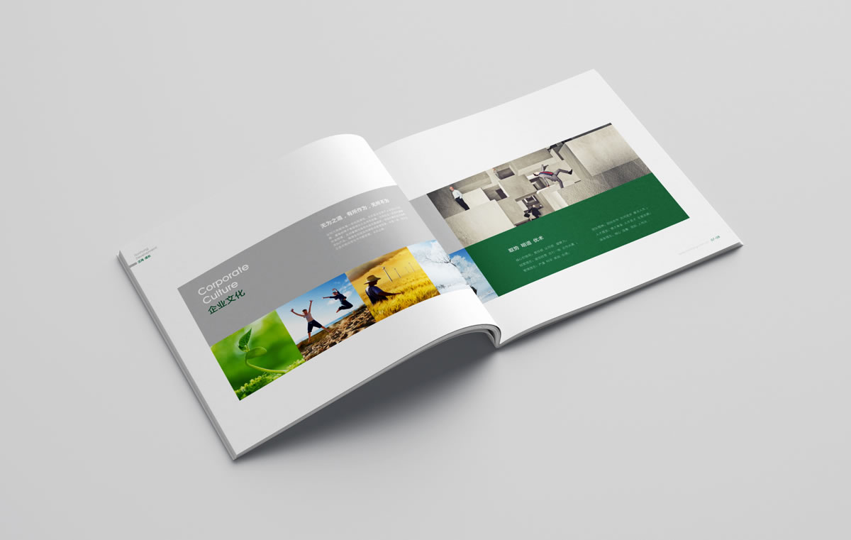 漢鴻木業(yè)商標(biāo)設(shè)計(jì),漢鴻木業(yè)logo設(shè)計(jì),漢鴻木業(yè)畫冊設(shè)計(jì)