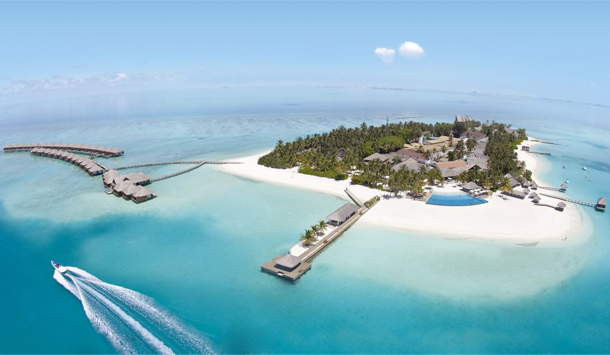 山谷巴巴商標(biāo)設(shè)計,山谷巴巴logo設(shè)計,山谷巴巴畫冊設(shè)計