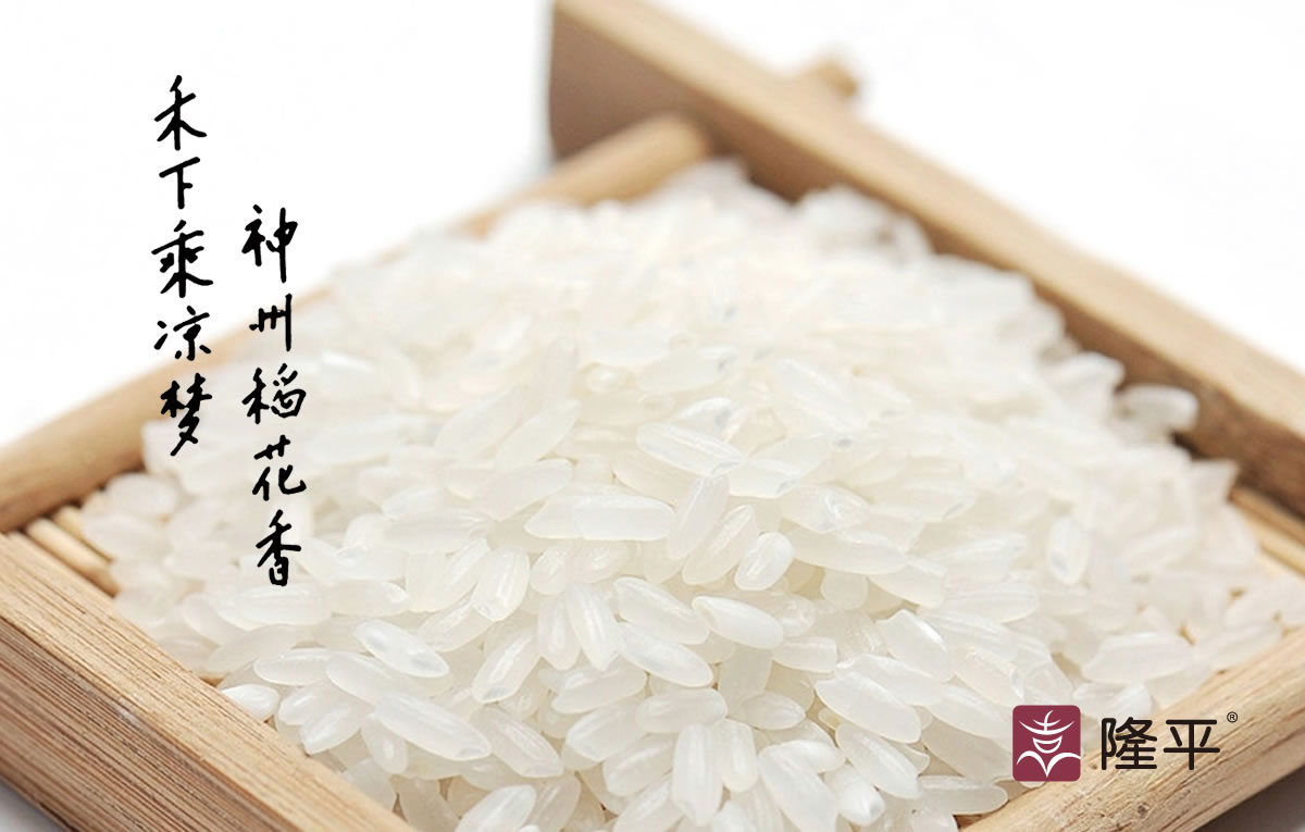 隆平大米商標(biāo)設(shè)計(jì),隆平大米logo設(shè)計(jì),隆平大米畫冊設(shè)計(jì)