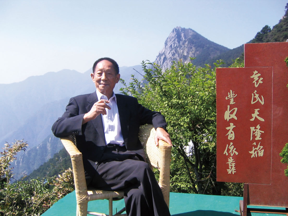 隆平大米商標(biāo)設(shè)計(jì),隆平大米logo設(shè)計(jì),隆平大米畫冊設(shè)計(jì)