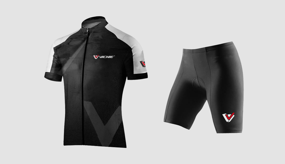 維西尼商標設(shè)計,維西尼logo設(shè)計,維西尼畫冊設(shè)計_全力設(shè)計