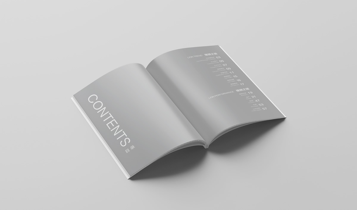 雄獅景觀畫冊(cè)設(shè)計(jì),雄獅景觀標(biāo)志設(shè)計(jì),雄獅景觀品牌形象設(shè)計(jì),雄獅景觀LOGO設(shè)計(jì)