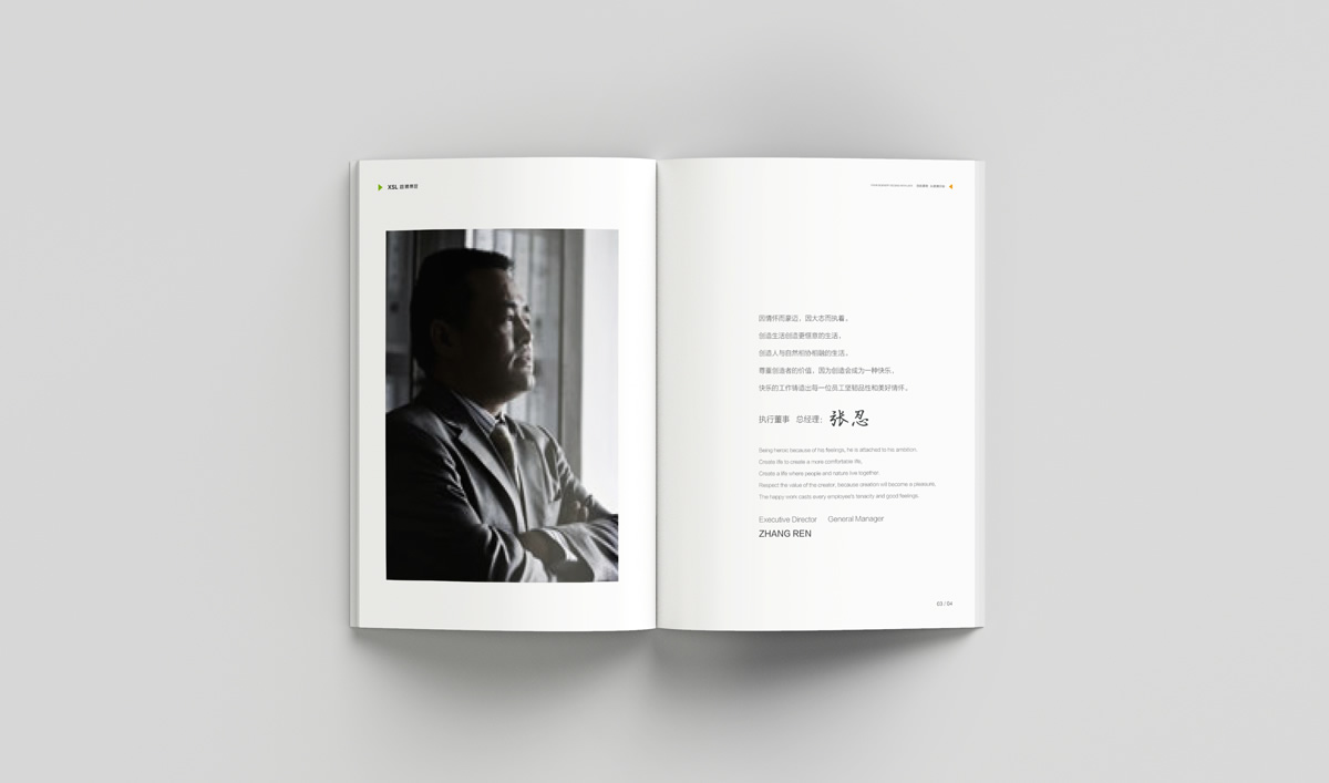 雄獅景觀畫冊(cè)設(shè)計(jì),雄獅景觀標(biāo)志設(shè)計(jì),雄獅景觀品牌形象設(shè)計(jì),雄獅景觀LOGO設(shè)計(jì)