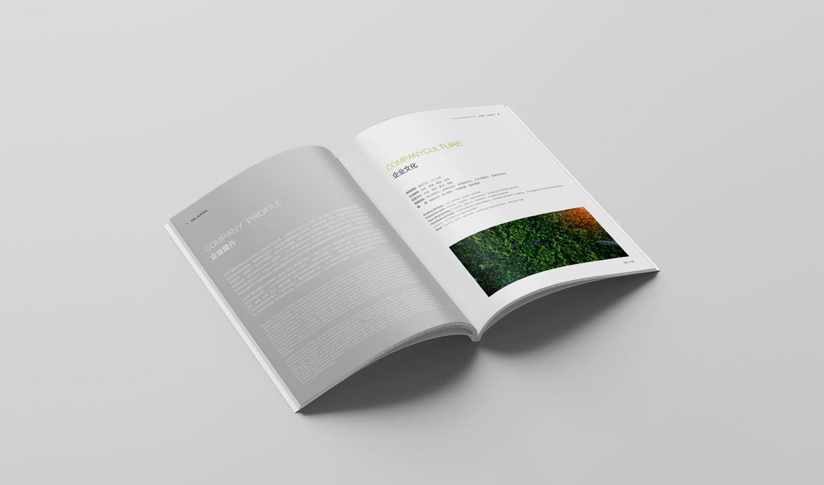 雄獅景觀畫冊(cè)設(shè)計(jì),雄獅景觀標(biāo)志設(shè)計(jì),雄獅景觀品牌形象設(shè)計(jì),雄獅景觀LOGO設(shè)計(jì)