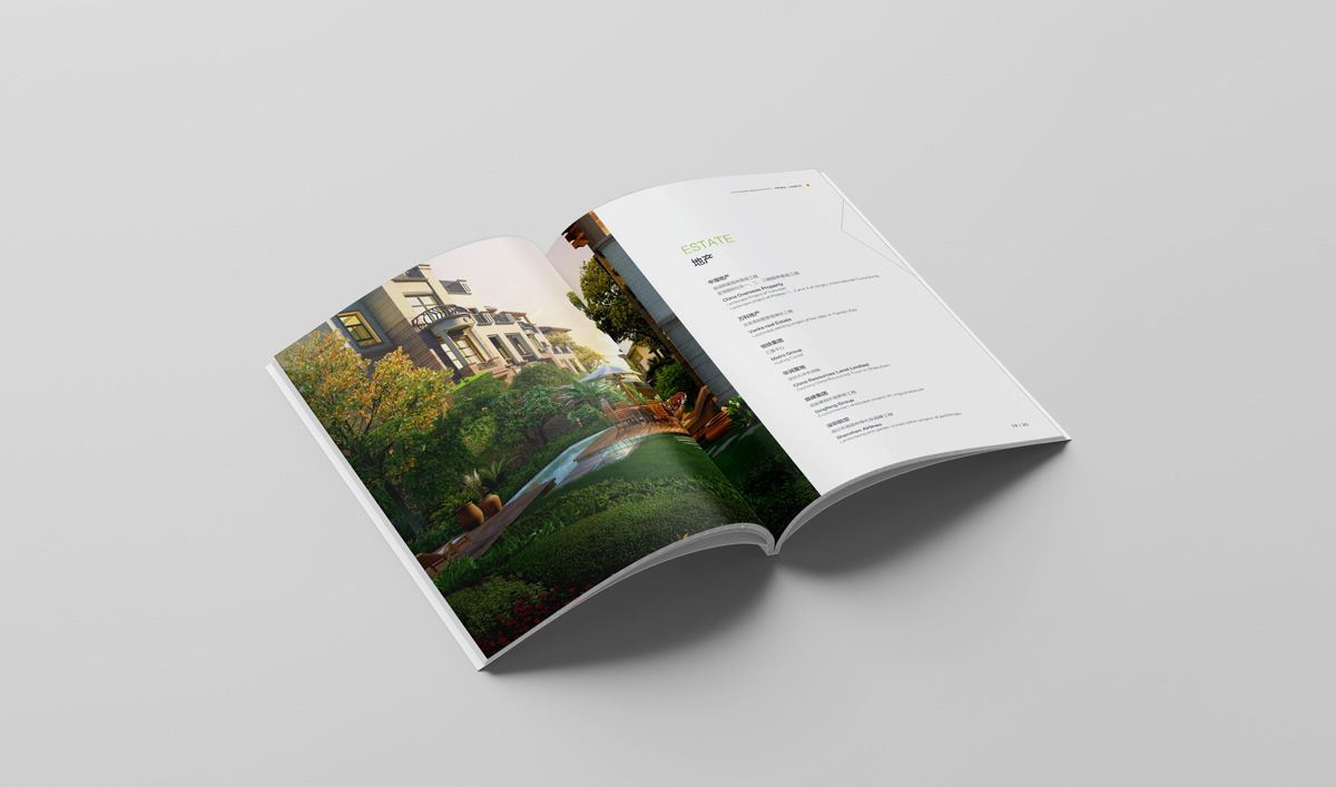 雄獅景觀畫冊(cè)設(shè)計(jì),雄獅景觀標(biāo)志設(shè)計(jì),雄獅景觀品牌形象設(shè)計(jì),雄獅景觀LOGO設(shè)計(jì)