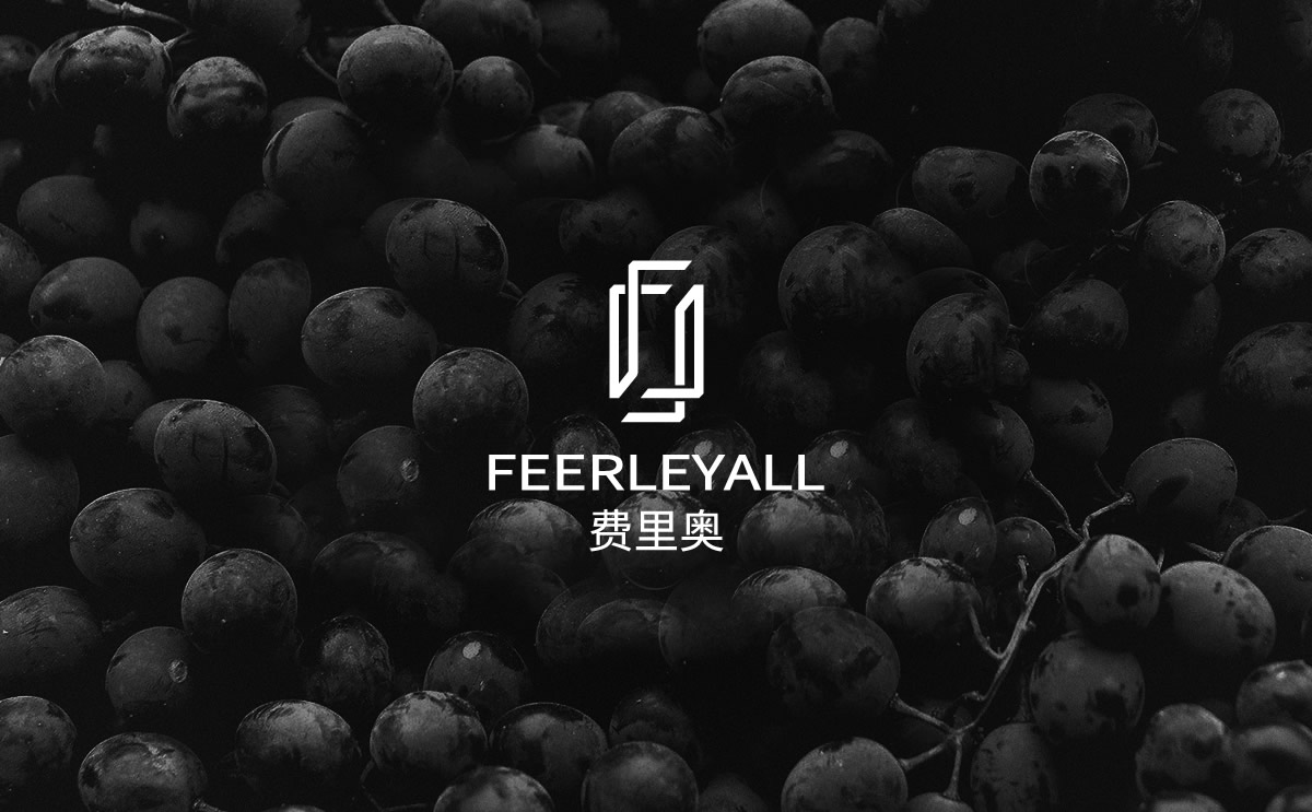 費里奧紅酒品牌標(biāo)志設(shè)計,費里奧紅酒瓶貼設(shè)計,費里奧紅酒包裝設(shè)計,費里奧品牌設(shè)計,高端紅酒包裝設(shè)計