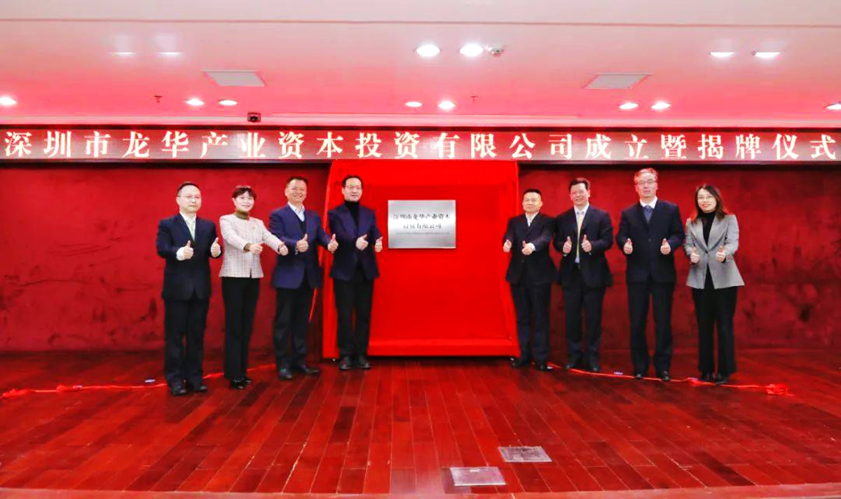 龍華資本品牌形象設(shè)計(jì),龍華資本標(biāo)志設(shè)計(jì),龍華資本商標(biāo)設(shè)計(jì),國(guó)企標(biāo)志設(shè)計(jì),國(guó)企LOGO設(shè)計(jì),國(guó)企VI設(shè)計(jì),國(guó)企品牌設(shè)計(jì)