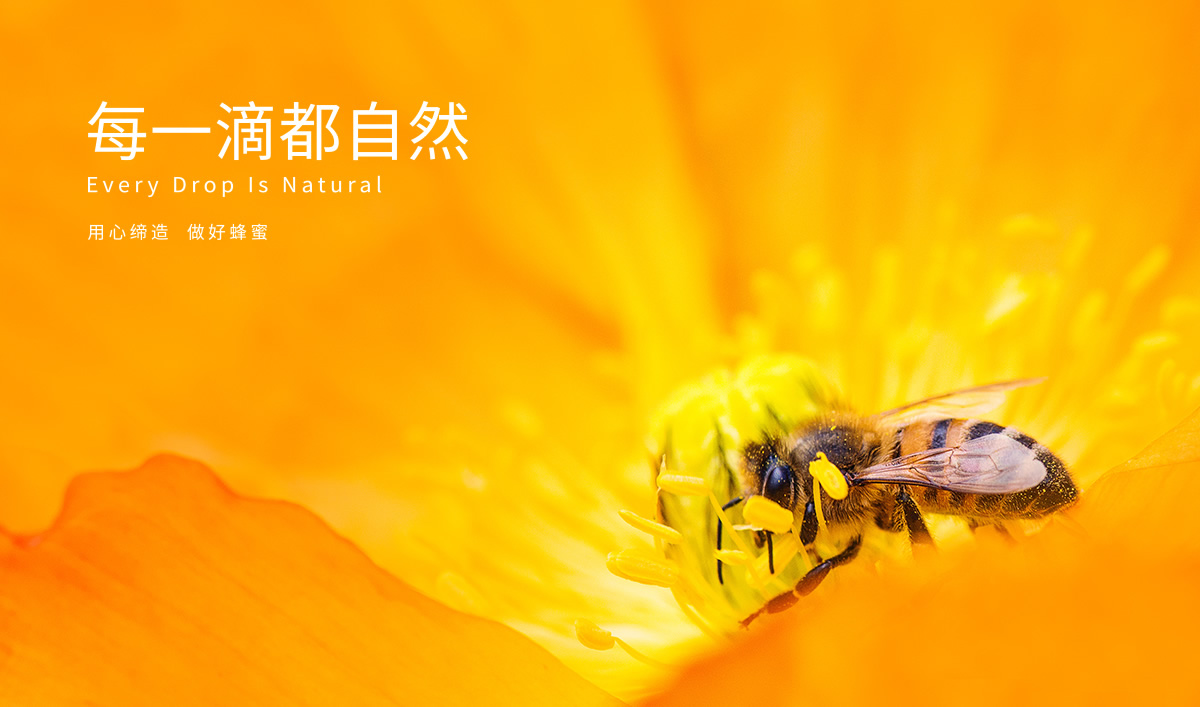 九青云包裝設計,九青云禮盒設計,九青云品牌設計,產品包裝設計,包裝設計